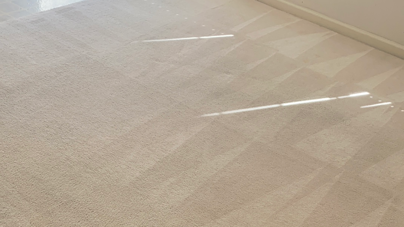 Steampro Carpet Cleaning — Carpet cleaning service
